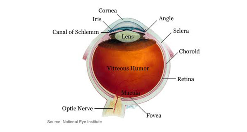 save-vision-1-adult-pediatric-eyecare-local-eye-doctor-near-you.jpg