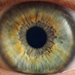 dilate adult pediatric eyecare local eye doctor near you.jpg